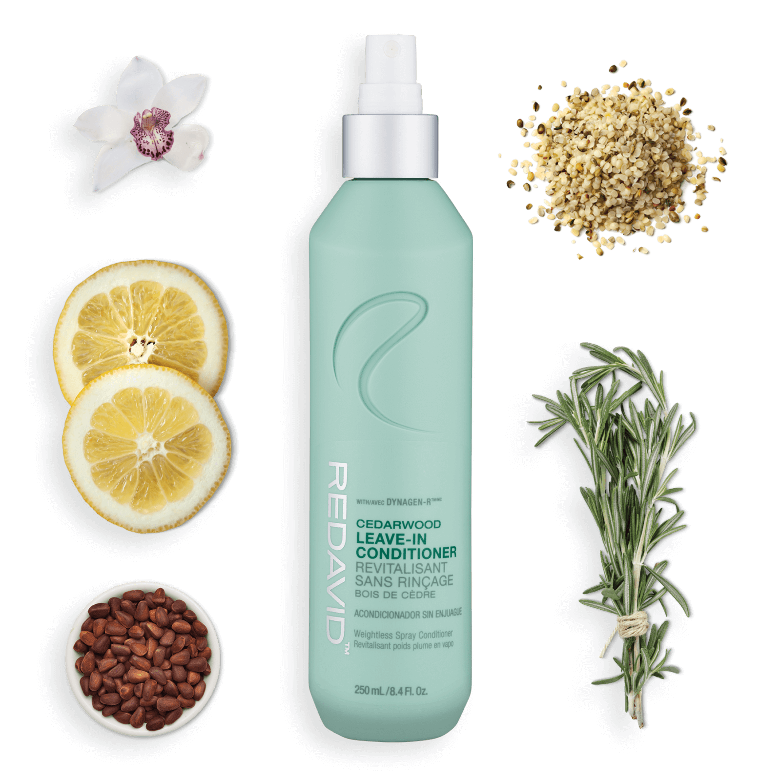 Cedarwood™ Leave-In Conditioner - Image 2